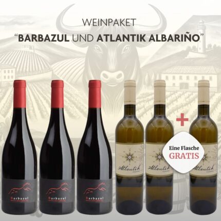 Entdecke unser Weinpaket 'Barbazul Selección Especial und Atlantik Albariño' mit 3 Flaschen Rotwein und 3 Flaschen Weißwein aus Spanien. Genieße hochwertige Weine und spare mit unserem exklusiven Angebot! Ideal für Weinliebhaber.
