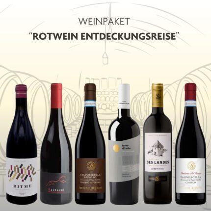 Weinpaket Rotwein Entdeckungsreise als Probierpaket mit 6 Flaschen
