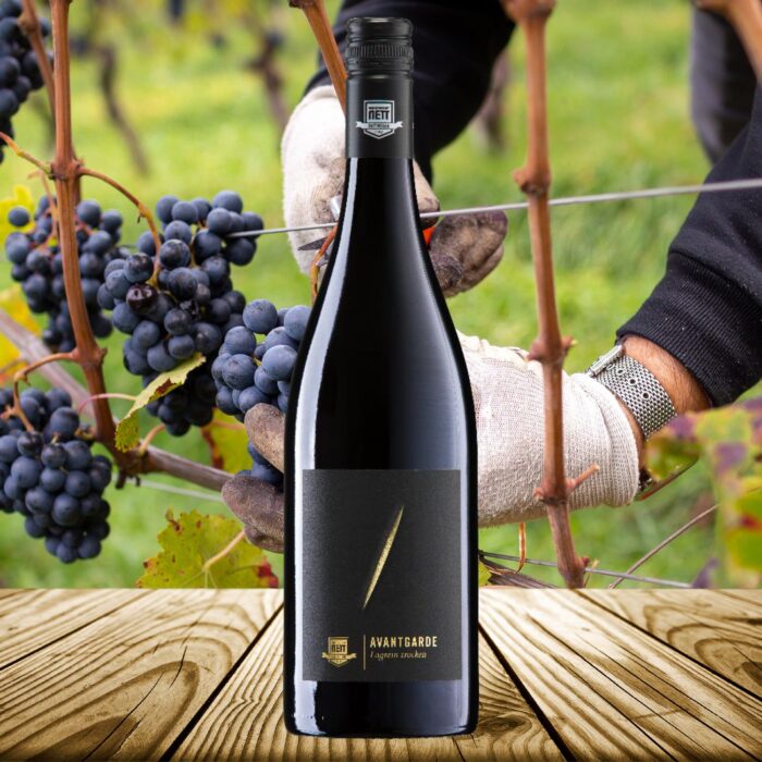 2019 Lagrein Avantgarde trocken | Weingut Bergdolt-Reif & Nett – Bild 2
