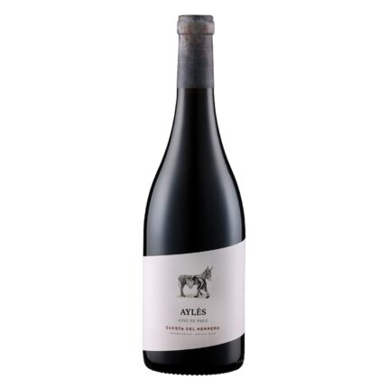 Cuesta del Herrero von Pago Aylés