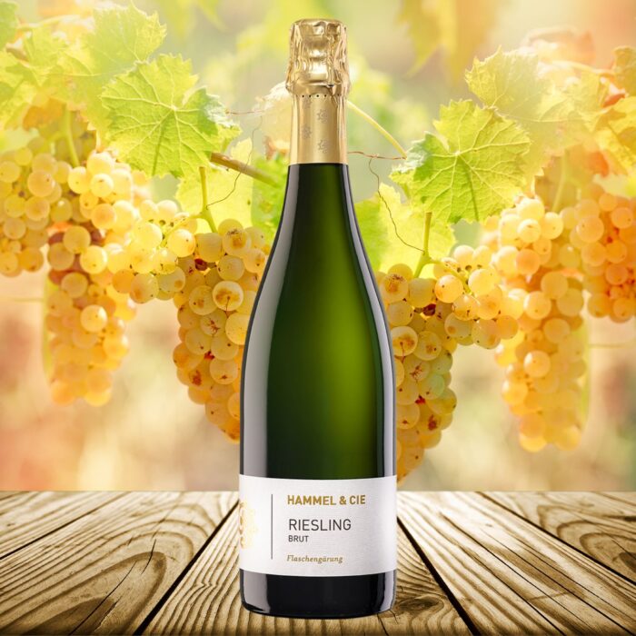 Traditionelle Flaschengärung, zarte Perlage, frische Riesling-Frucht. Der Riesling Brut Sekt vom Weingut Hammel. Perfekt zum Anstoßen oder als Speisenbegleiter!