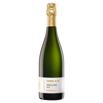Traditionelle Flaschengärung, zarte Perlage, frische Riesling-Frucht. Der Riesling Brut Sekt vom Weingut Hammel. Perfekt zum Anstoßen oder als Speisenbegleiter!