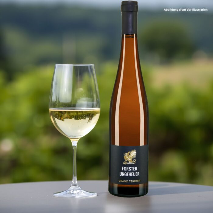 Forster Ungeheuer Grand Terroir trocken vom Forster Weinkontor