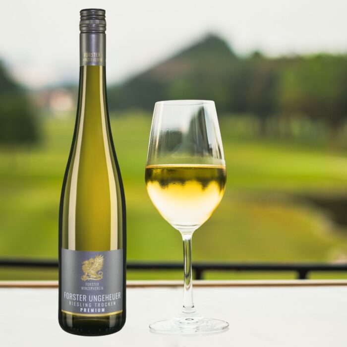2024 Forster Ungeheuer Riesling Premium trocken | Forster Weinkontor – Bild 2