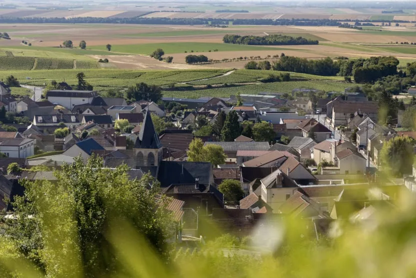 Blick auf Trépail in dem die Familie Beaufort ihr Champagnergut Arnaud Beaufort besitzt.