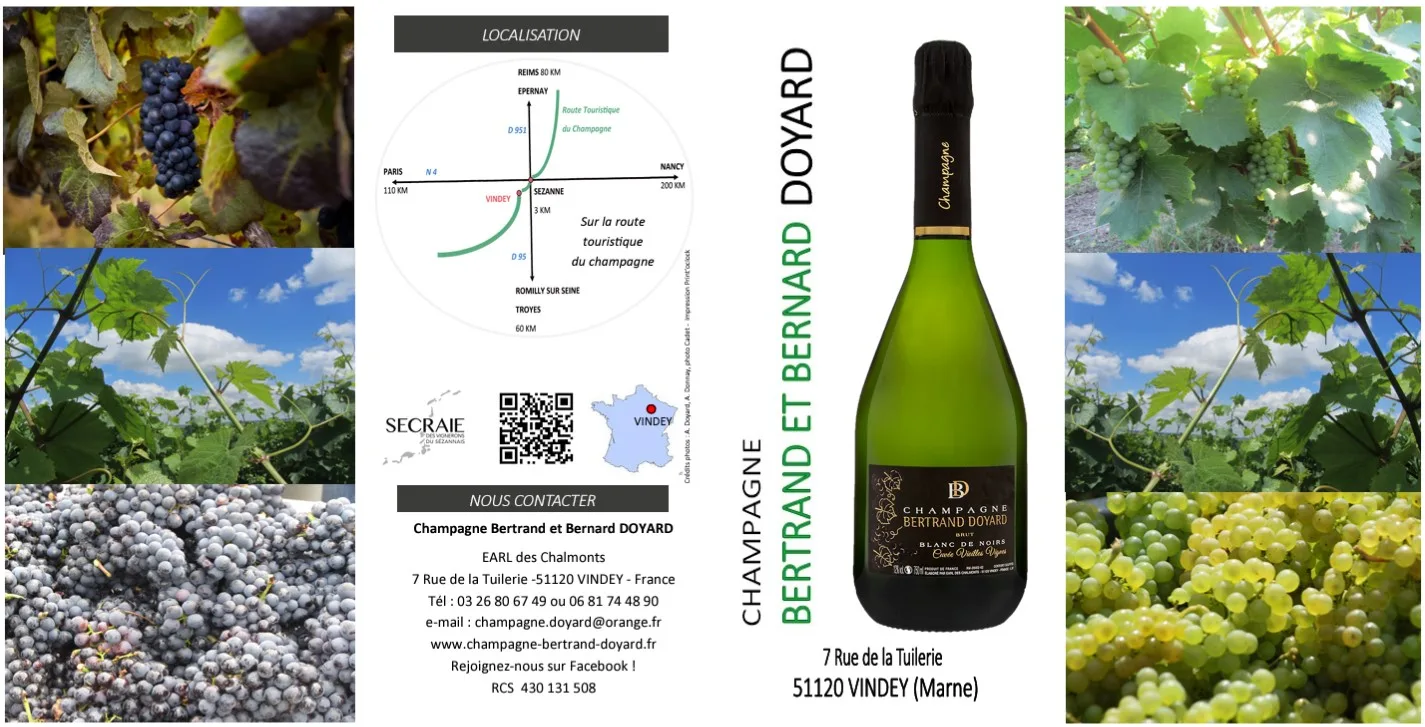 Lesen alles über das Champagnergut Bertrand Doyard wo seit drei Generationen erstklassige Champagner aus Chardonnay und Pinot Noir entstehen.