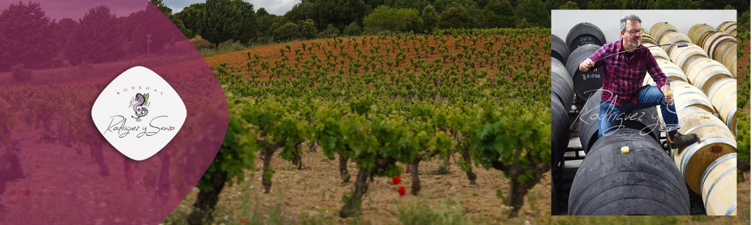 Nachhaltige Landwirtschaft und spanische Leidenschaft prägen die Bodega Rodriguez & Sanzo. Erlebe die biodynamischen Weine von Javier Rodriguez!