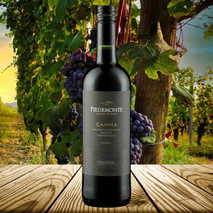 2023 Gamma Tinto | Bodegas Piedemonte – Bild 2