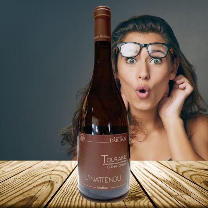 2020 Le Inattendu AOC Touraine | Domaine Daridan – Bild 2