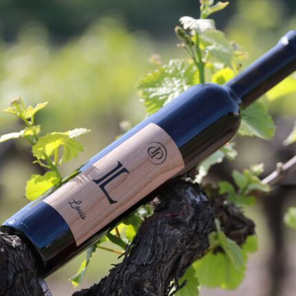 2020 Louis süßer Rotwein Domaine Daridan