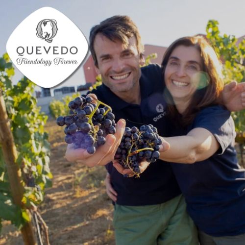 Entdecke das Weingut Quevedo im Herzen des Douro-Tals. Fünf Generationen Weinkompetenz, exzellente Portweine, nachhaltiger Anbau und echte Leidenschaft. Jetzt auf Vinomeet.de erleben!