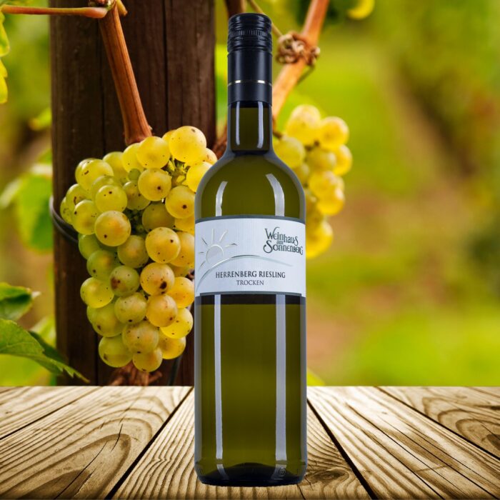 2024 Herrenberg Riesling trocken | Weinhaus am Sonnenberg – Bild 2