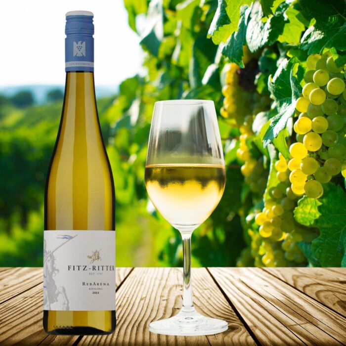 2024 RebArena Riesling trocken | Weingut Fitz Ritter – Bild 2
