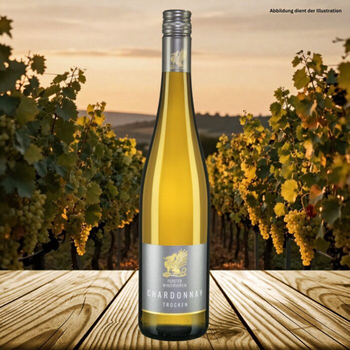 Chardonnay trocken vom Forster Weinkontor aus der Pfalz