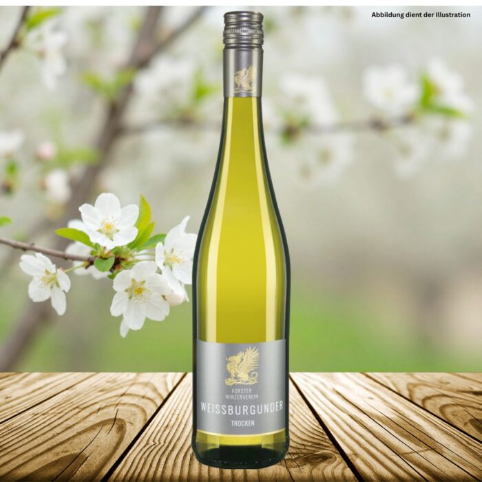 Weißburgunder trocken vom Forster Weinkontor aus der Pfalz