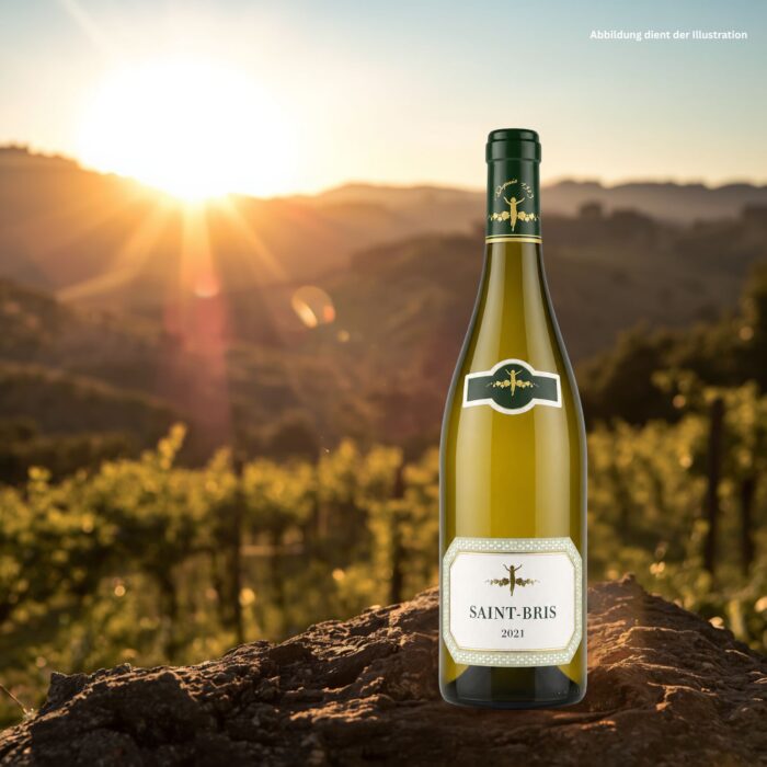 2021 Saint Bris La Chablisienne Sauvignon Blanc Burgund