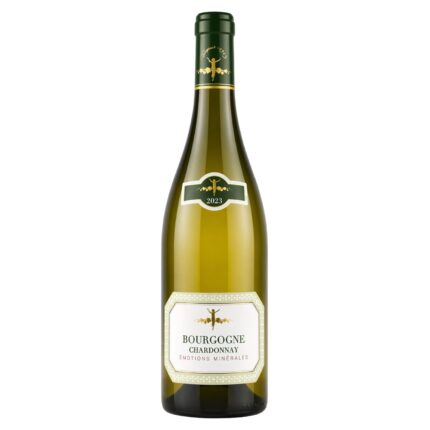 2023 Bourgogne Chardonnay La Chablisienne Burgund Weißwein