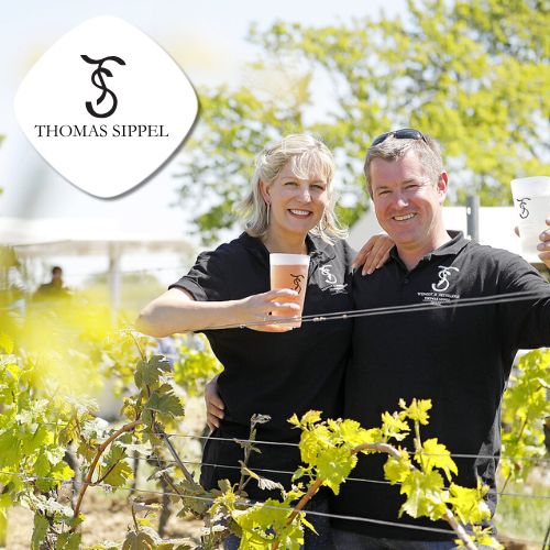 Weingut Sippel in Weisenheim am Berg mit Weinbergen in der Pfalz