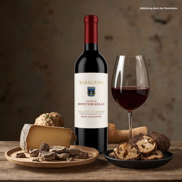 2020 Vigne di Montornello Chianti Classico Gran Selezione Bibbiano