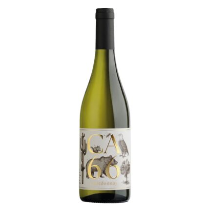 CA66 Chardonnay vom Weingut Hannes Sabathi