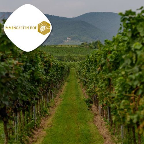 Entdecke das Wein- & Sektgut Immengarten Hof in Maikammer. Genieße hochwertige Weine, Sekte und nachhaltige Tradition seit 1894.