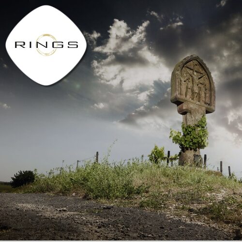 Entdecke das Weingut Rings in der Pfalz. Erlebe preisgekrönte Weine und eine faszinierende Mischung aus Tradition und Moderne.
