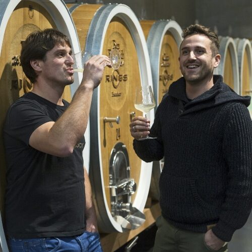 Weingut-Rings-Block-2